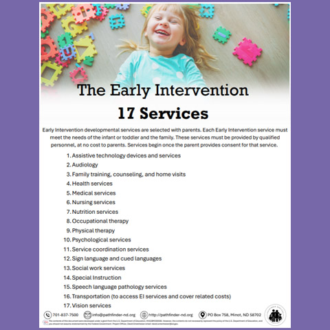 The Early Intervention 17 Services