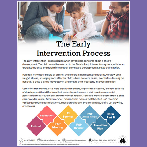 The Early Intervention Process